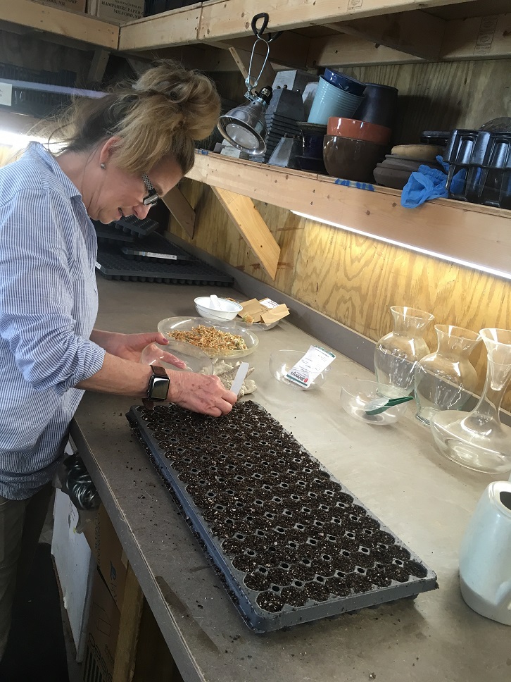 Why Shop a Public Garden Plant Sale? Brookgreen